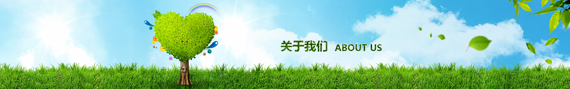 新澳门原料大全