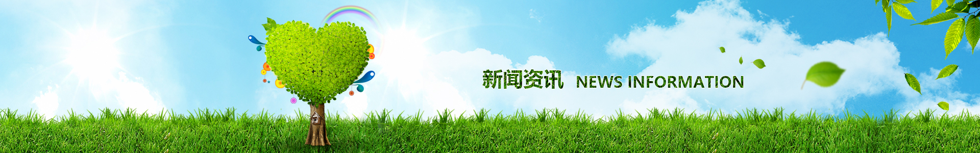 新澳门原料大全